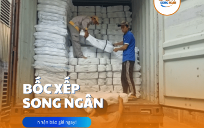 Bốc Xếp Trọn Gói – Giải Quyết Mọi Công Việc Vận Chuyển, Không Lo Phát Sinh