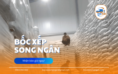 Cho Thuê Lao Động Long An - Nhanh Chóng, Chất Lượng, Vô Cùng Hiệu Quả