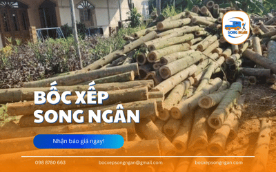 Làm thế nào để bốc xếp gỗ an toàn trong môi trường chật hẹp?